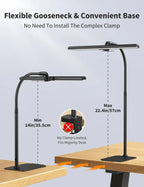 Jorlynta Desk Lamp