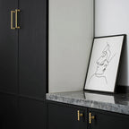 Jorvossa Cabinet Handle