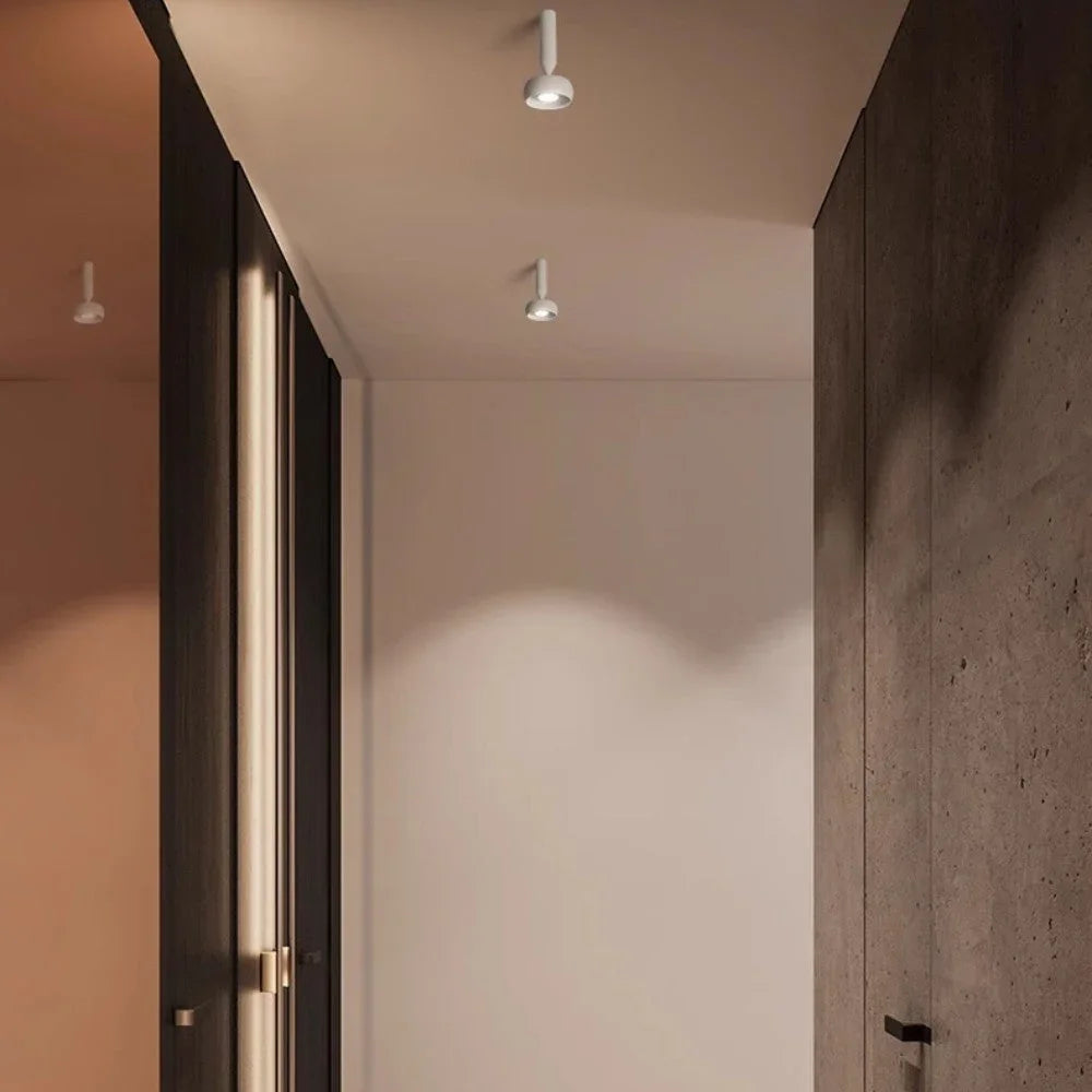 Kerbona Spotlight