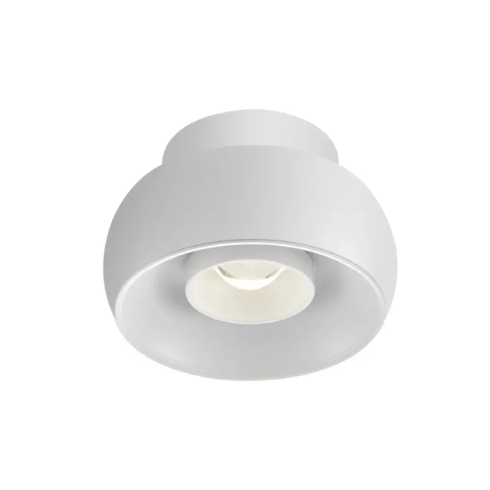Kerbona Spotlight