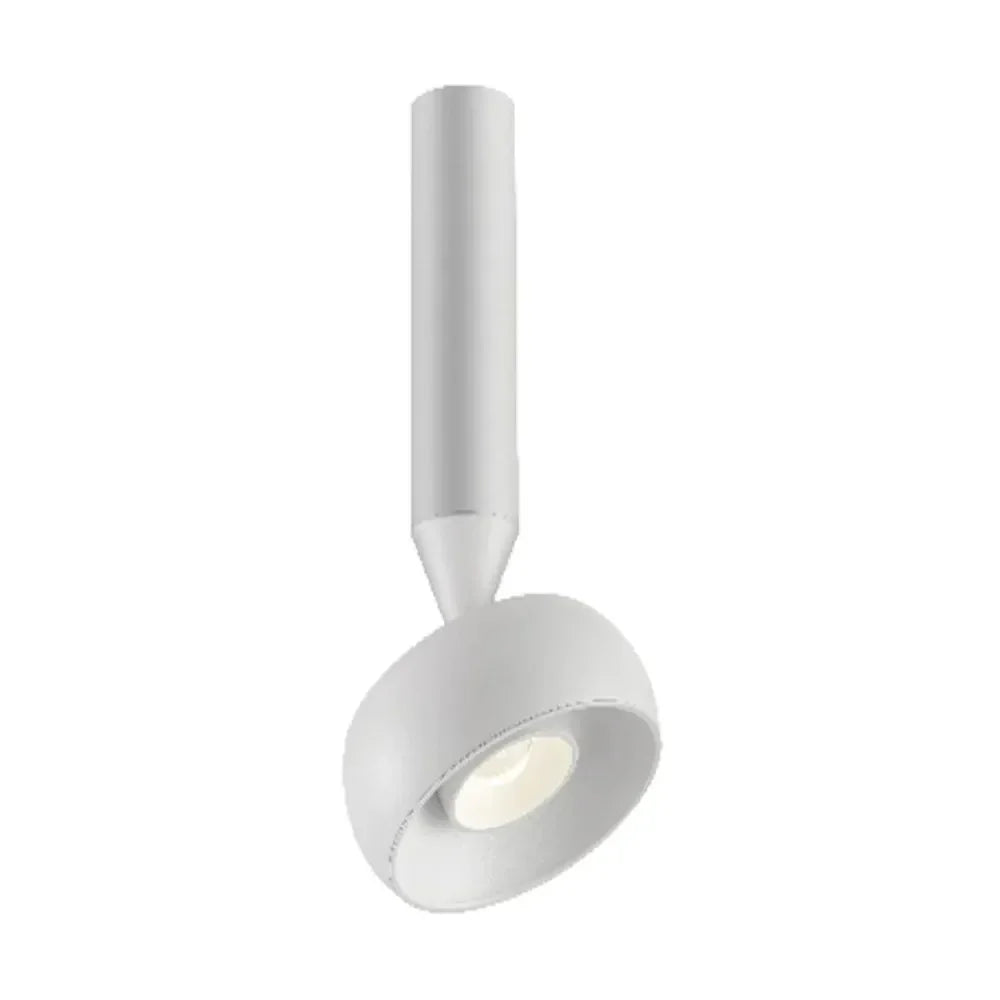 Kerbona Spotlight