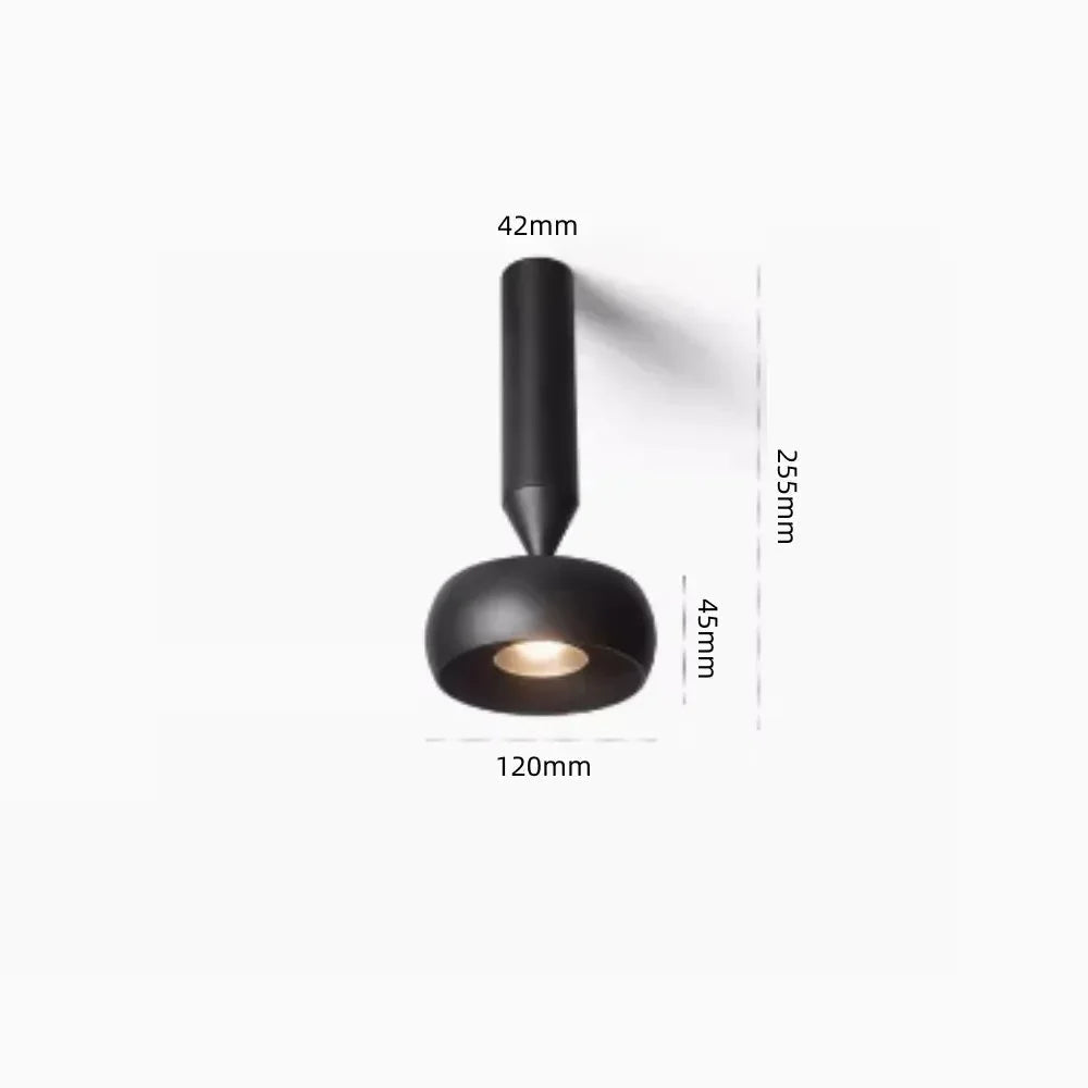 Kerbona Spotlight