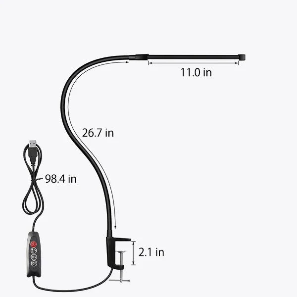 Lorndona LED Desk Lamp
