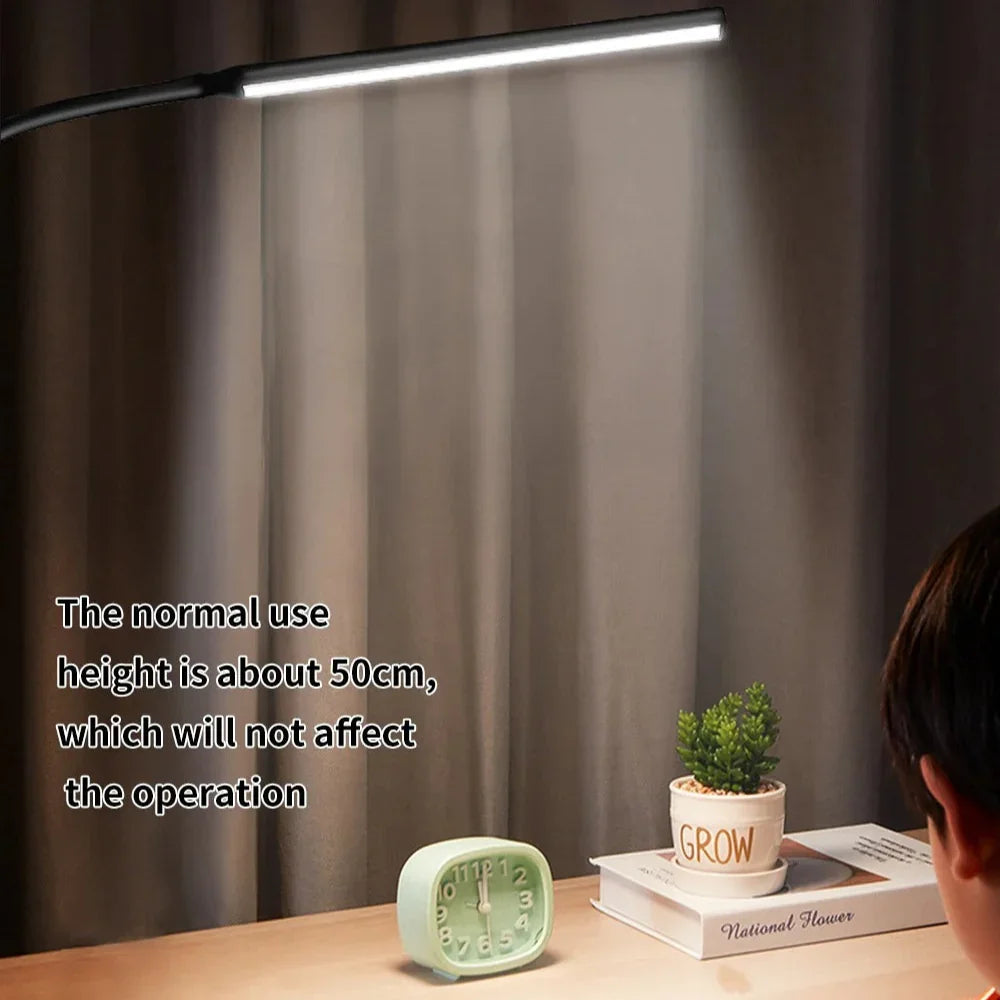 Lorndona LED Desk Lamp
