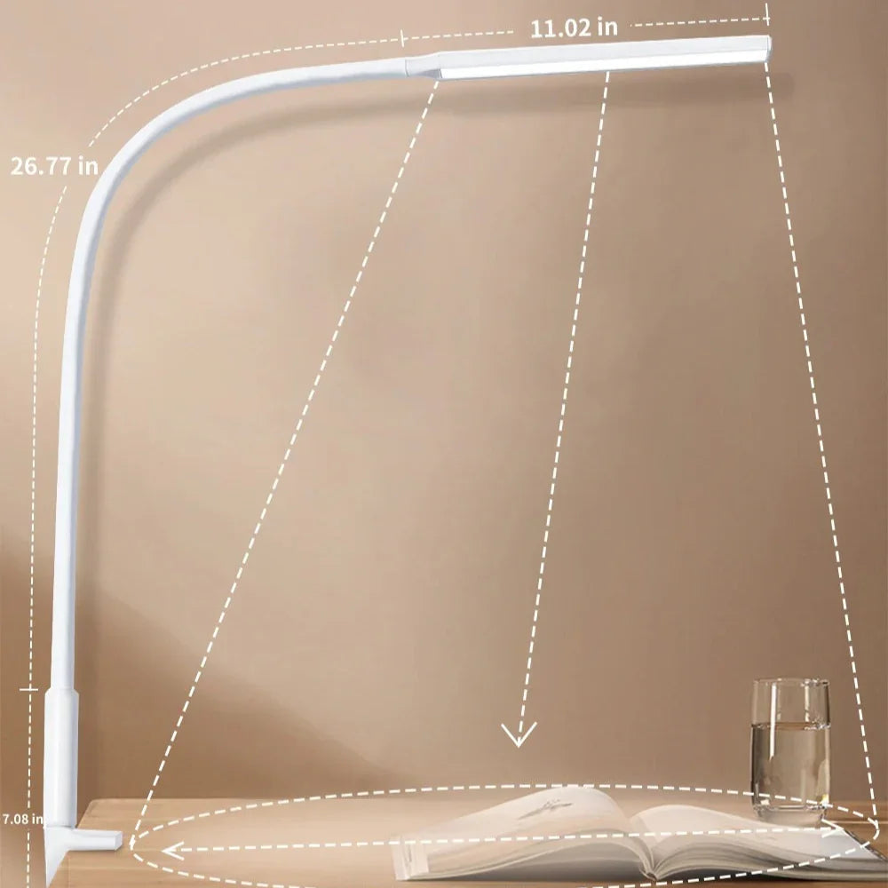 Lorndona LED Desk Lamp