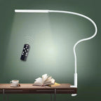 Lorndona LED Desk Lamp