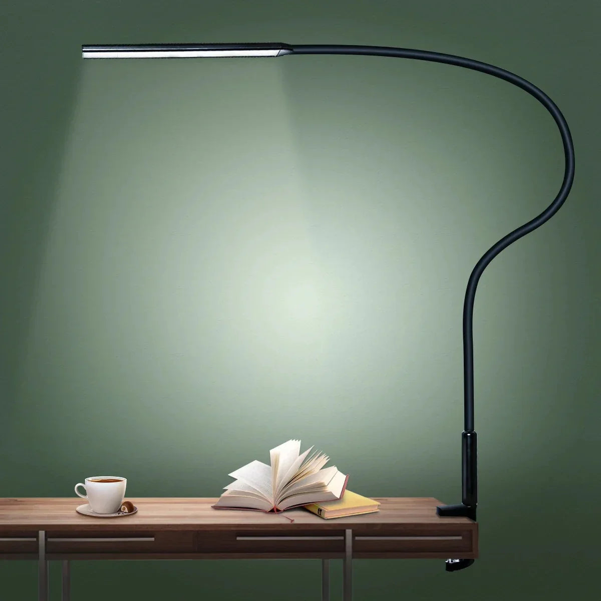 Lorndona LED Desk Lamp