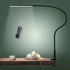 Lorndona LED Desk Lamp