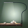 Lorndona LED Desk Lamp