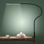 Lorndona LED Desk Lamp