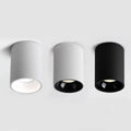 Melndova Black & White Surface Mounted Downlight