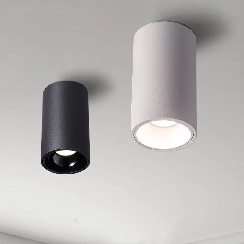 Melndova Black & White Surface Mounted Downlight