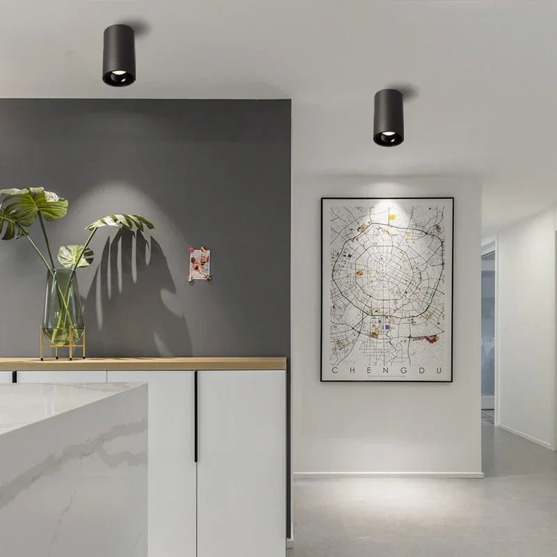 Melndova Black & White Surface Mounted Downlight