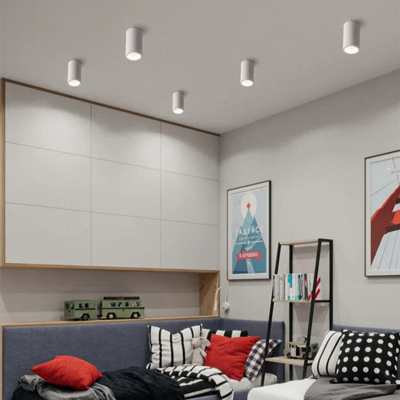 Melndova Black & White Surface Mounted Downlight