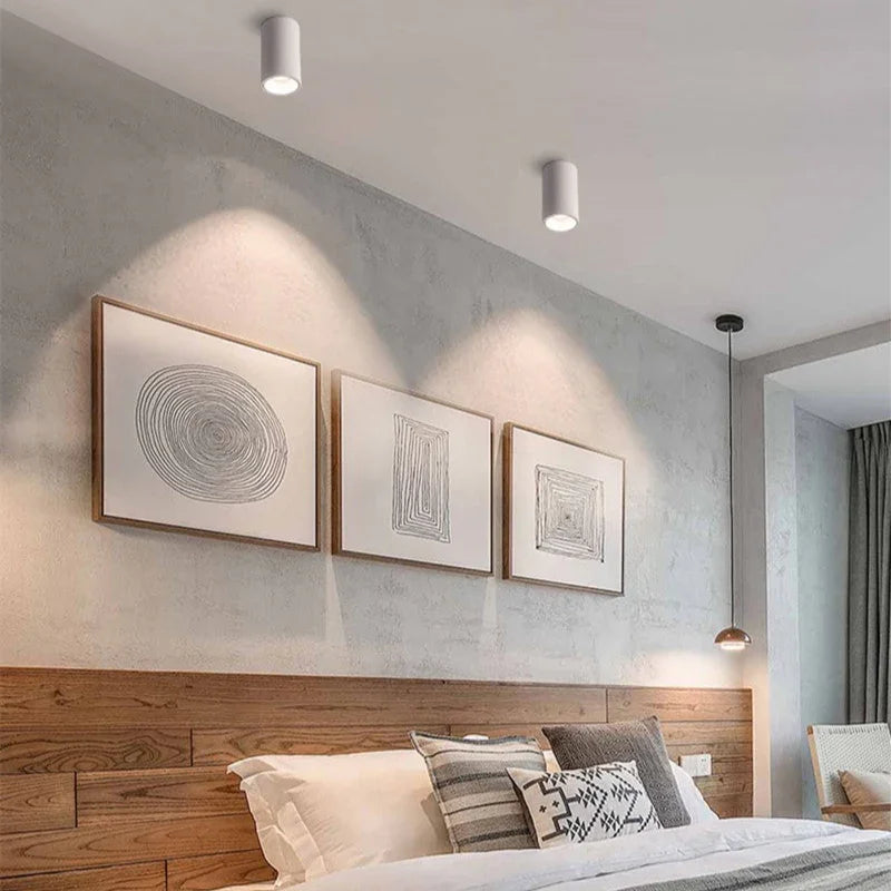 Melndova Black & White Surface Mounted Downlight