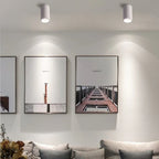 Melndova Black & White Surface Mounted Downlight
