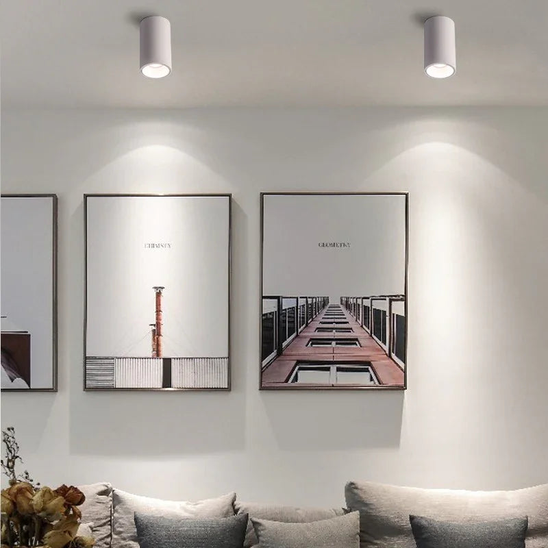 Melndova Black & White Surface Mounted Downlight