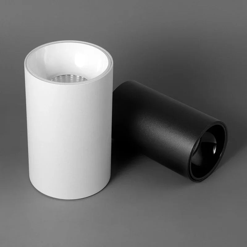 Melndova Black & White Surface Mounted Downlight