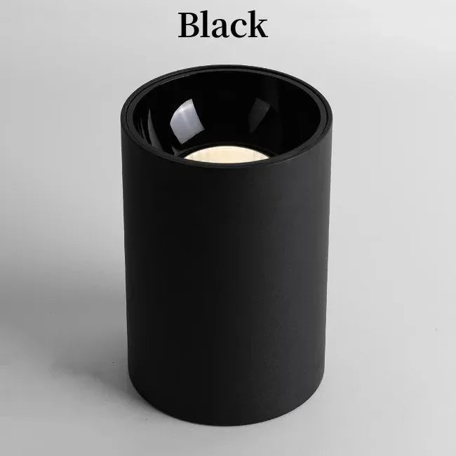 Melndova Black & White Surface Mounted Downlight