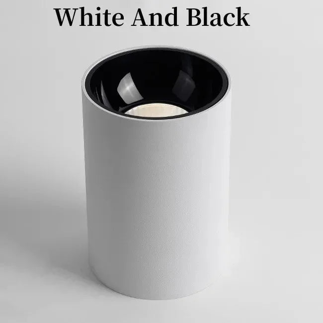 Melndova Black & White Surface Mounted Downlight