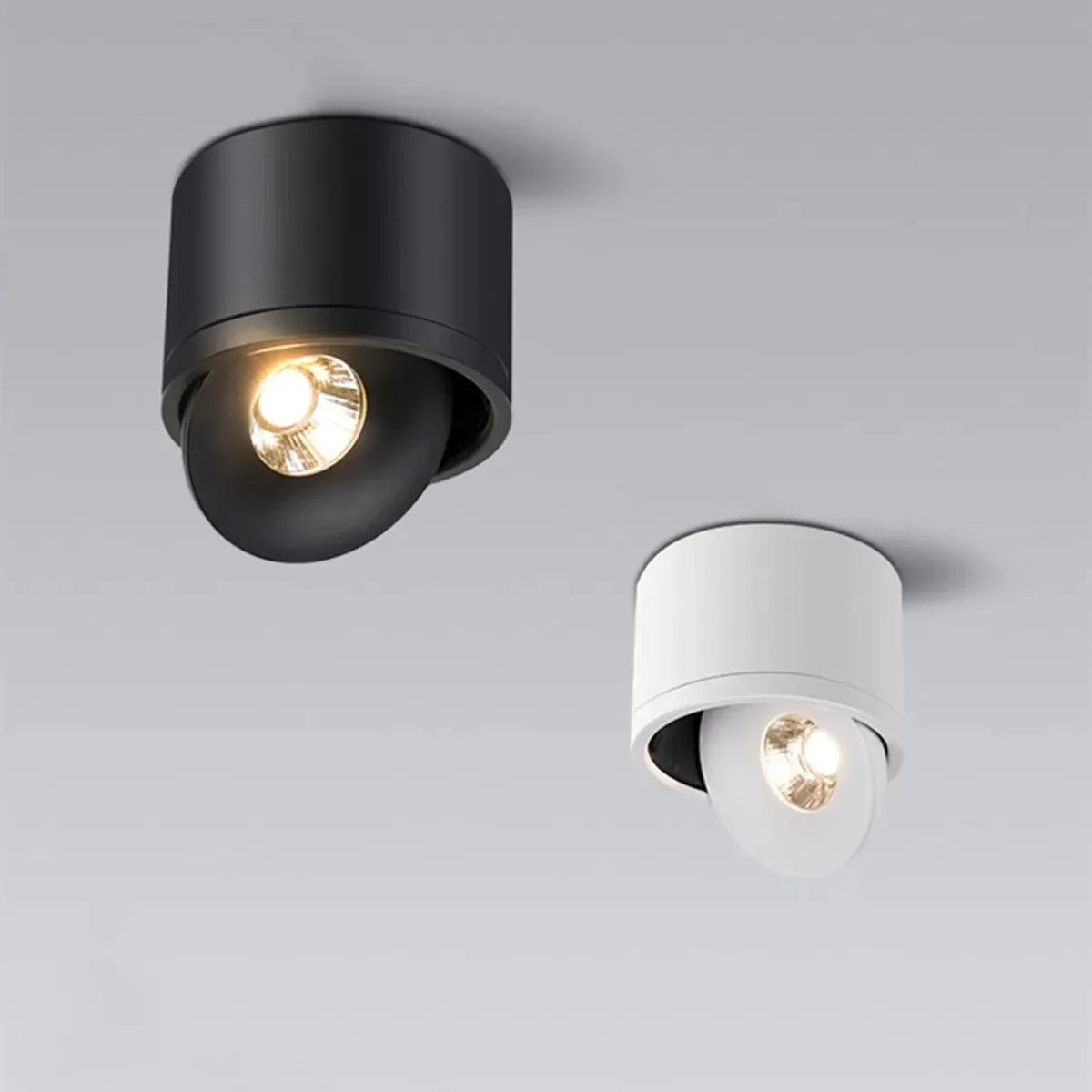 Norfessa Surface Mounted Downlight