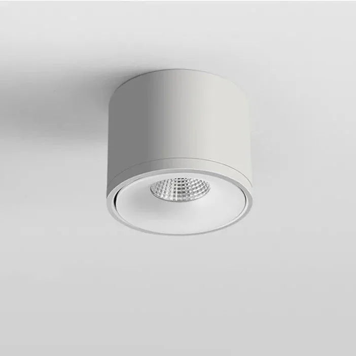 Norfessa Surface Mounted Downlight