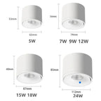 Norfessa Surface Mounted Downlight