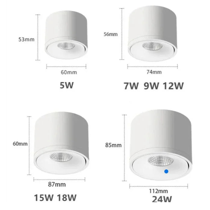 Norfessa Surface Mounted Downlight