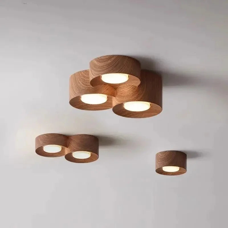 Perrara Surface Mounted Downlight