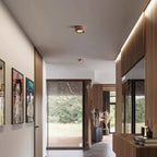 Perrara Surface Mounted Downlight