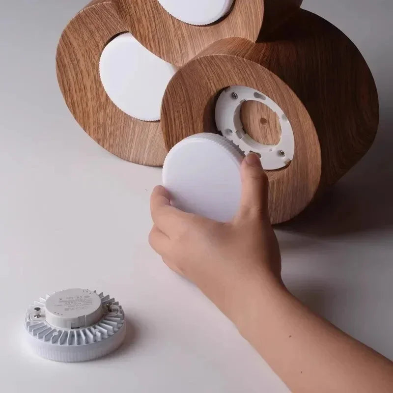 Perrara Surface Mounted Downlight