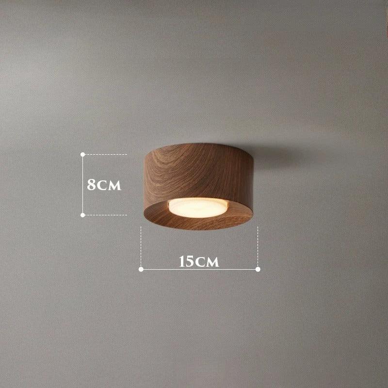 Perrara Surface Mounted Downlight