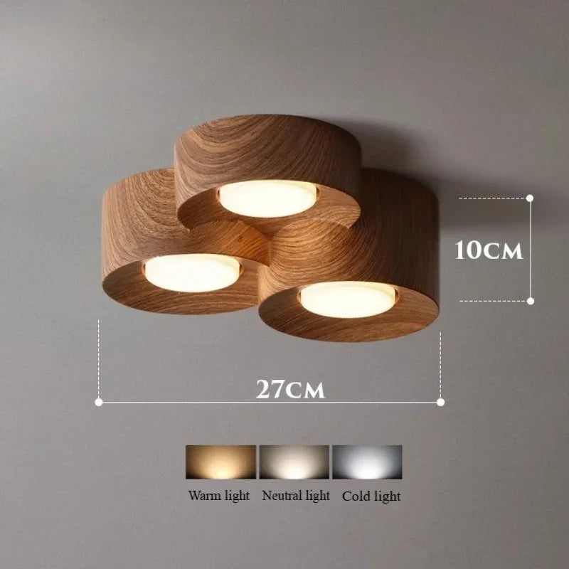 Perrara Surface Mounted Downlight