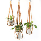 Plant Pots Suspension | TheKanta