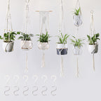 Plant Pots Suspension | TheKanta