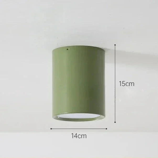 Quinfella Surface Mounted Downlight
