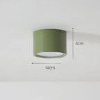 Quinfella Surface Mounted Downlight