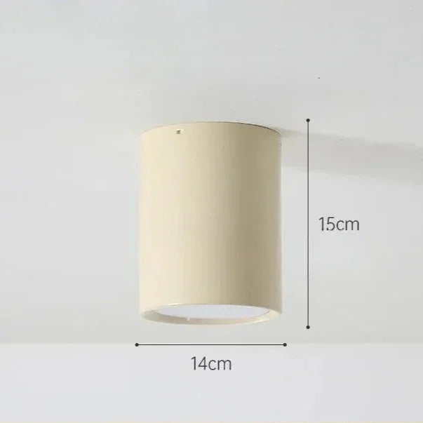 Quinfella Surface Mounted Downlight