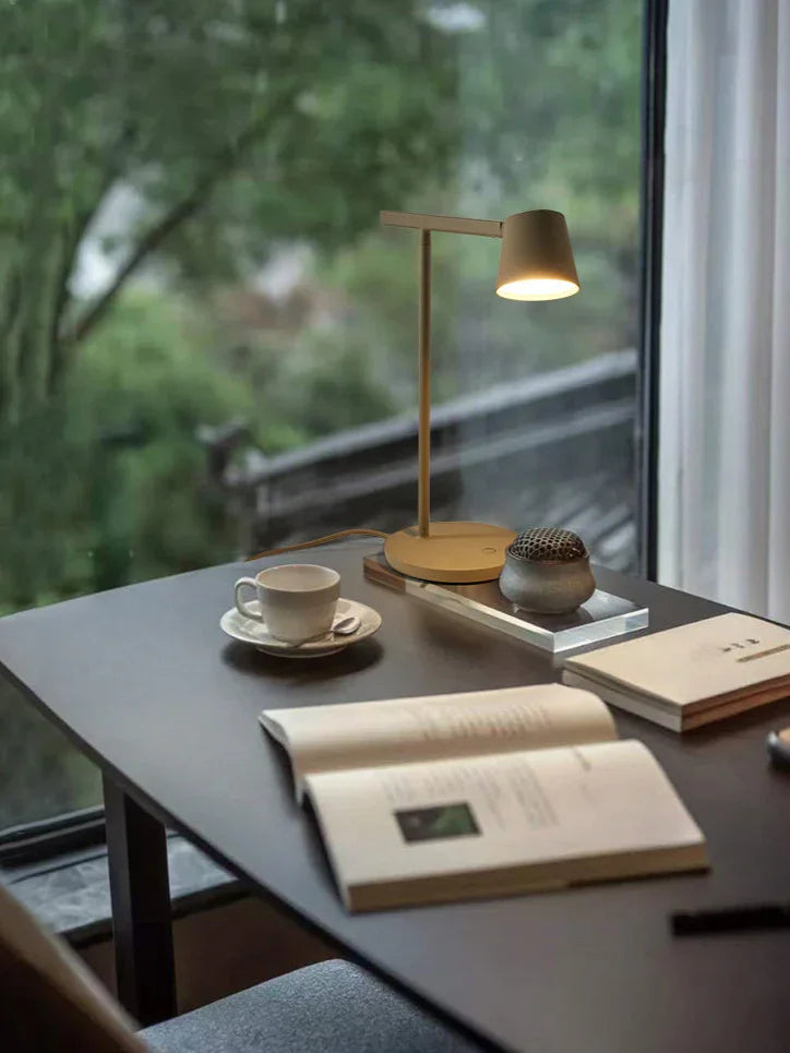 Quinvisa Desk Lamp