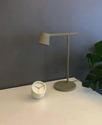 Quinvisa Desk Lamp
