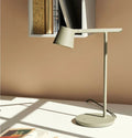 Quinvisa Desk Lamp