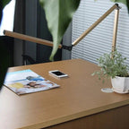 Relfyra Desk Lamp