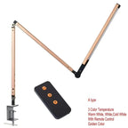 Relfyra Desk Lamp