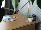 Relfyra Desk Lamp