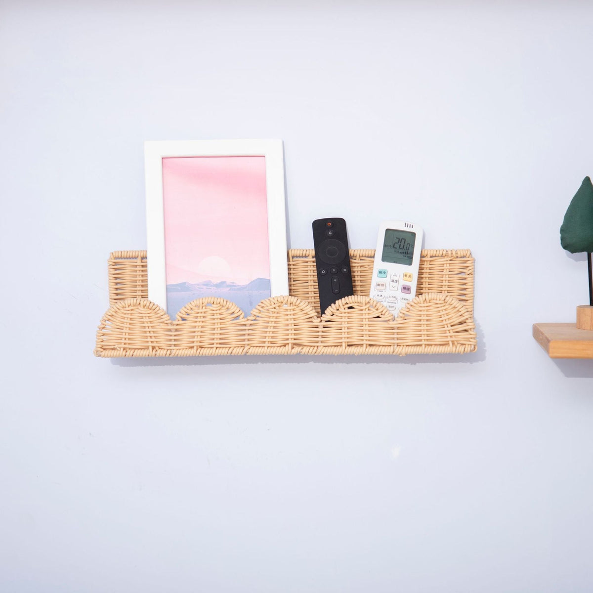 Shell Design Basket | TheKanta