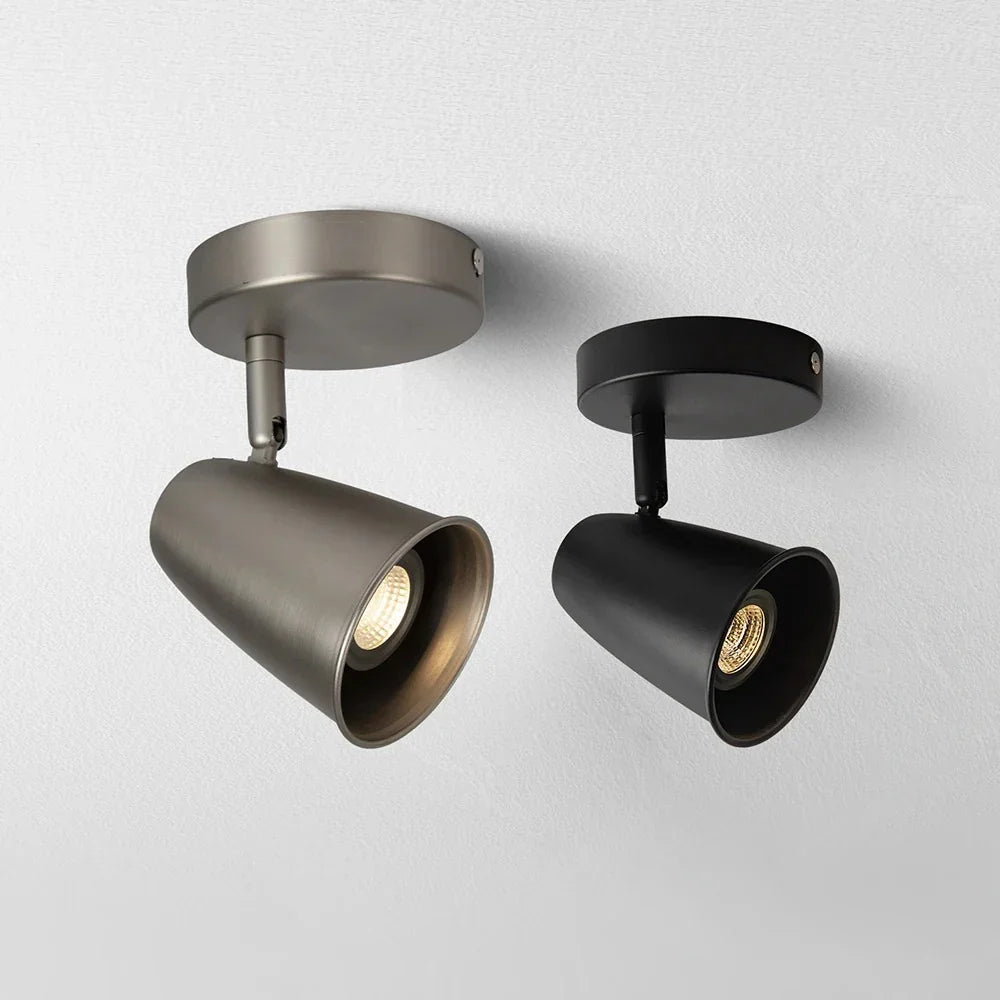 Sorndisa Spotlight