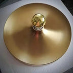 Tidebank Wall and Ceiling Light