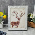 Urfita Photo Frame