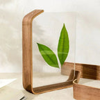 Urmara Frame Collection
