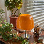 Vermvia Table Lamp